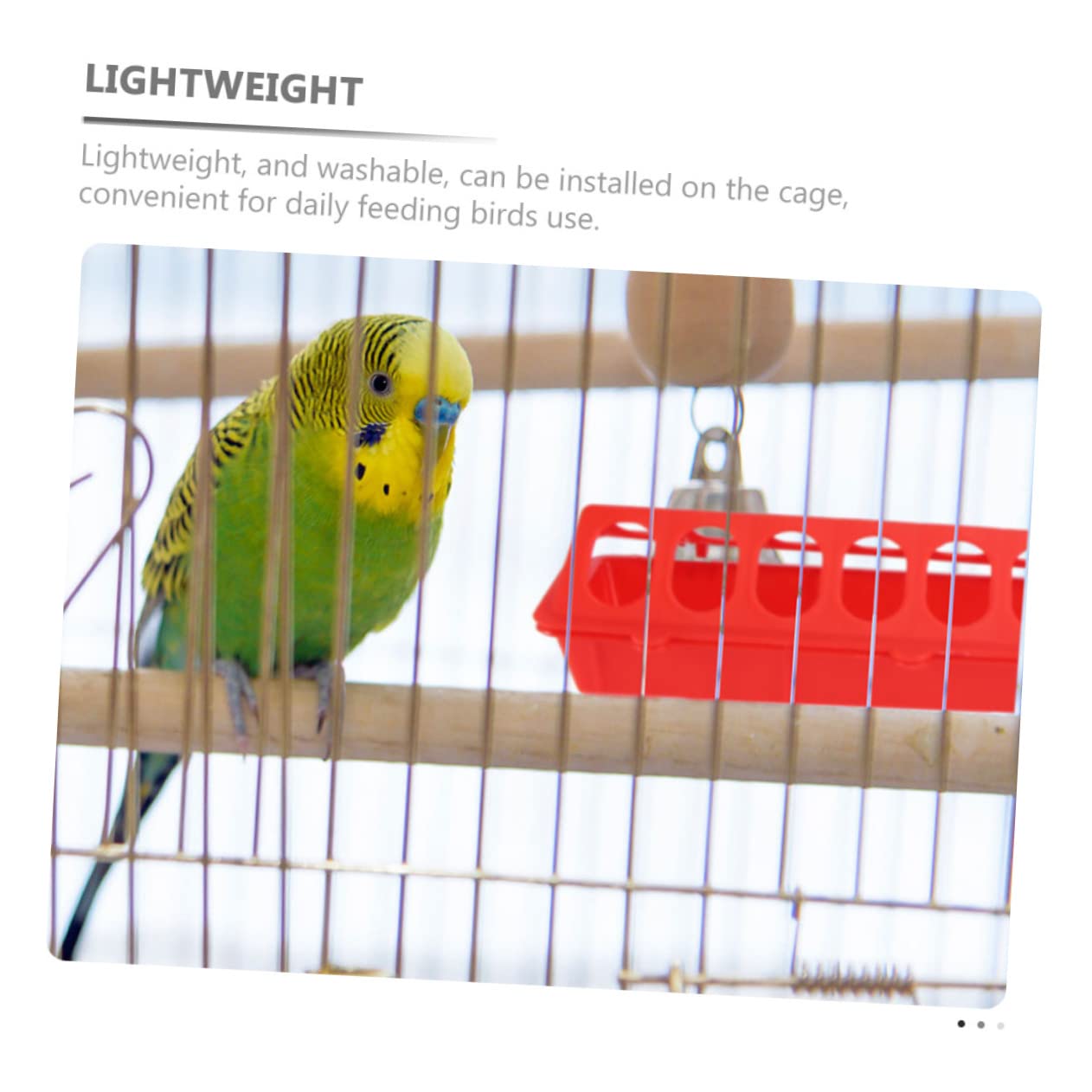 Mangiatoia per Colombe in Plastica Multiuso 4 Pezzi
