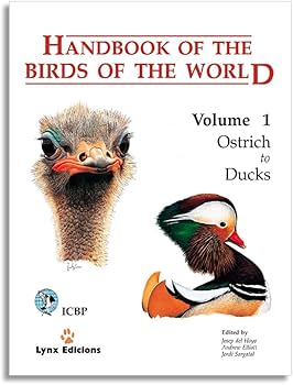 61cXNj2yqJL._AC_UF350,