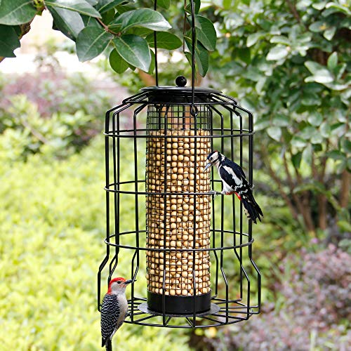 SAND MINE Wild Bird Feeder, Caged Tube Feeder, Squirrel Proof Outdoor Birdfeeder with Large Mesh Metal Seed Guard Deterrent for Large Birds, Black