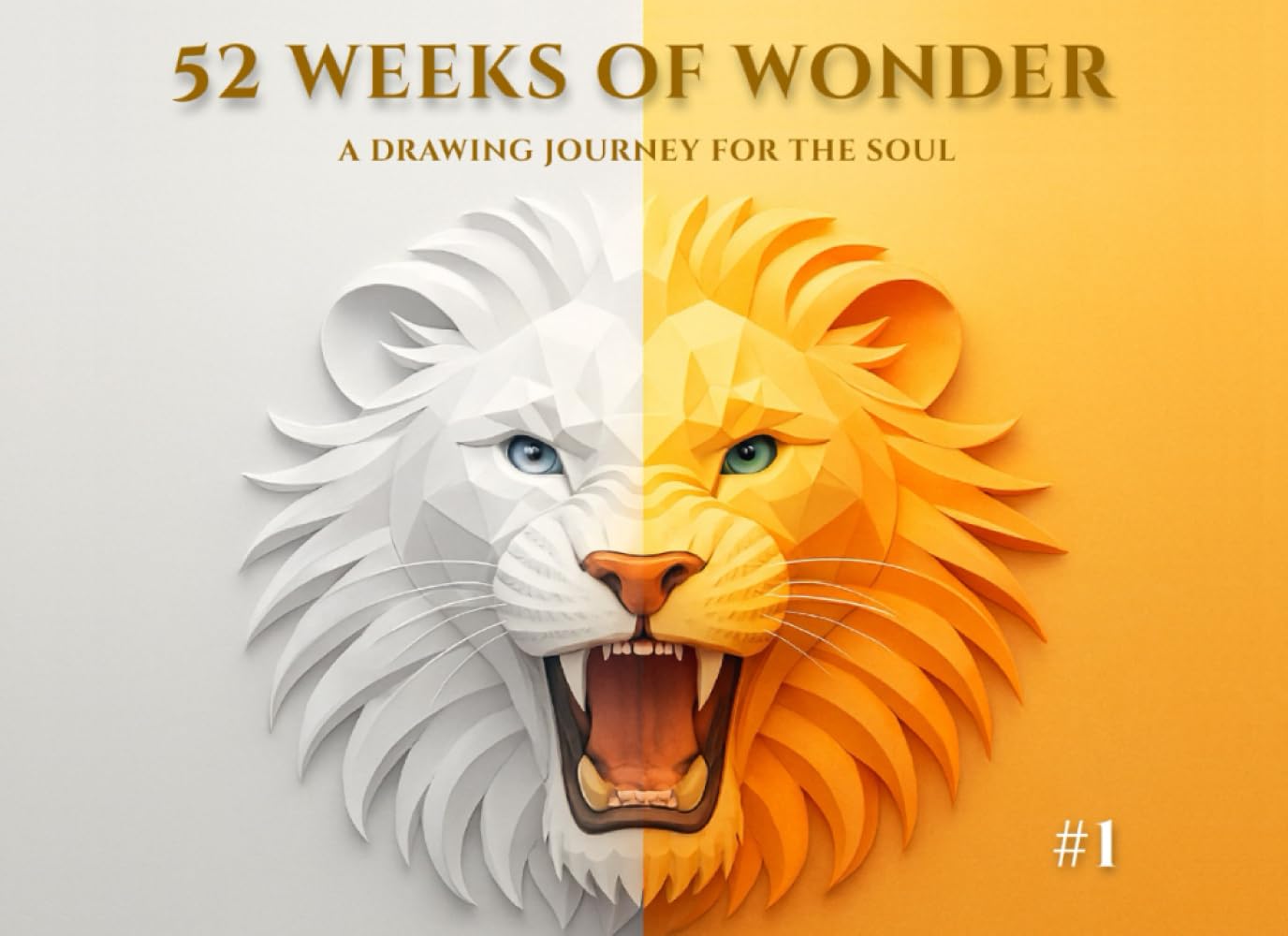52 Weeks of Wonder carnet de dessin thérapeutique pour votre rituel bien-être