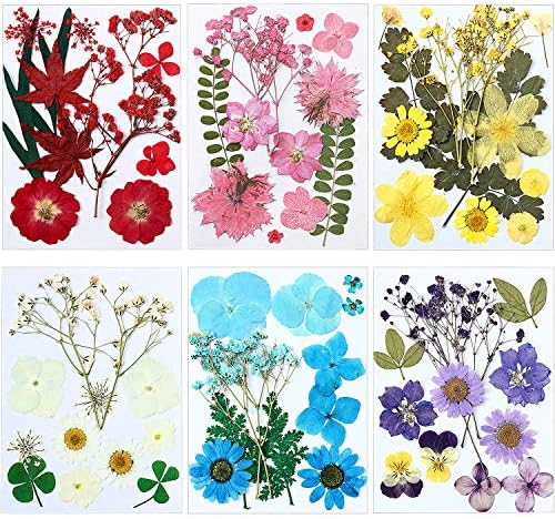 6 Pack Real Dried Pressed Flowers Dried Flowers Leaves Set Mixed Multiple Dry Flower for DIY Candle Resin Jewelry Nail Pendant Crafts Art Floral Decoration?Elegant Style?
