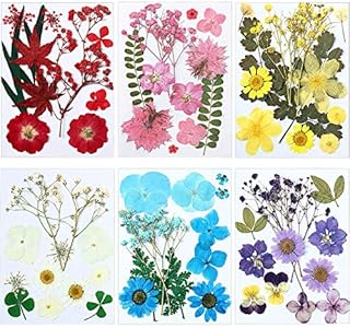6 Pack Real Dried Pressed Flowers Dried Flowers Leaves Set Mixed Multiple Dry Flower for DIY Candle Resin Jewelry Nail Pendant Crafts Art Floral Decoration?Elegant Style?