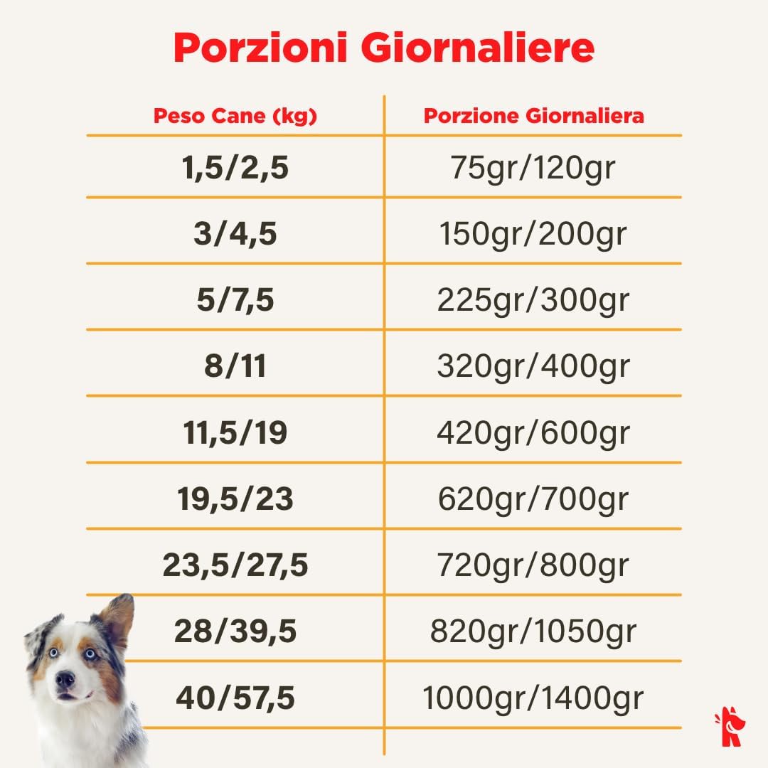 Cibo per cani al manzo naturale, 14 buste x 700g, monoproteico e senza cereali e conservanti, pappa fresca casalinga, Made in Italy, adatto a tutte le razze e taglie