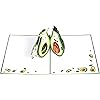 Product Photo 5