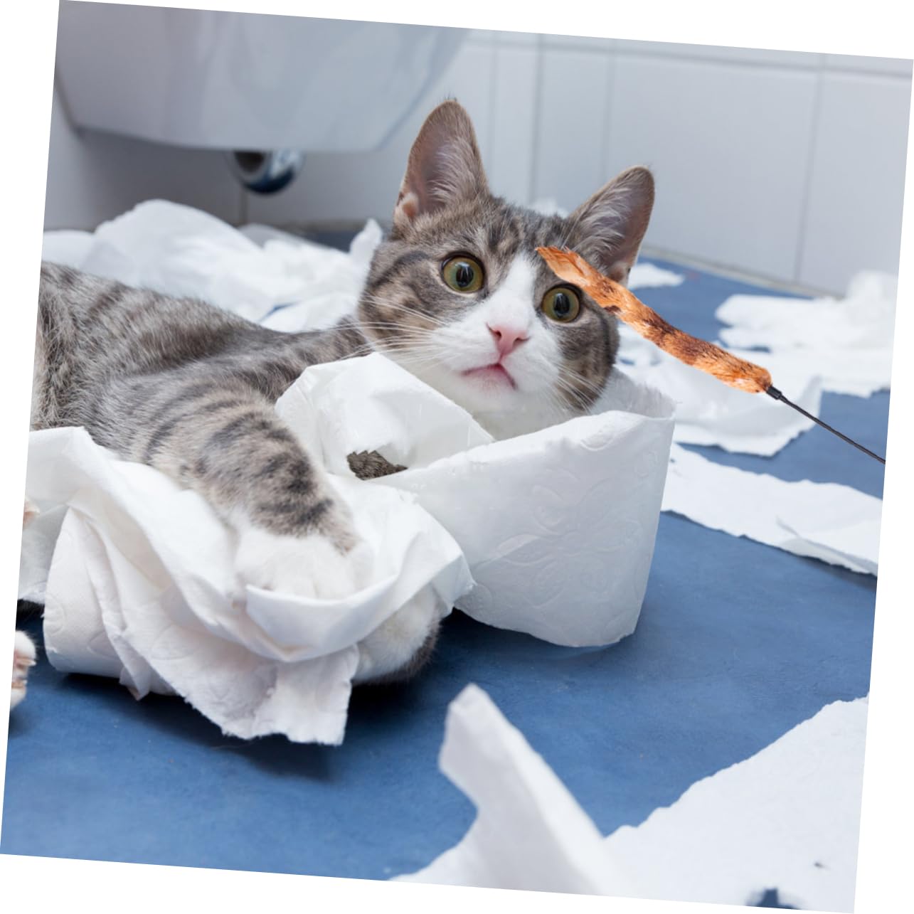 Kisangel 15 Piezas De Juguete Giratorio para Gatos Suministros para Mascotas Juguetes para Gatitos Juguetes para Ejercitar Gatos Juguete De Hadas Juguetes para Gatitos Juguetes