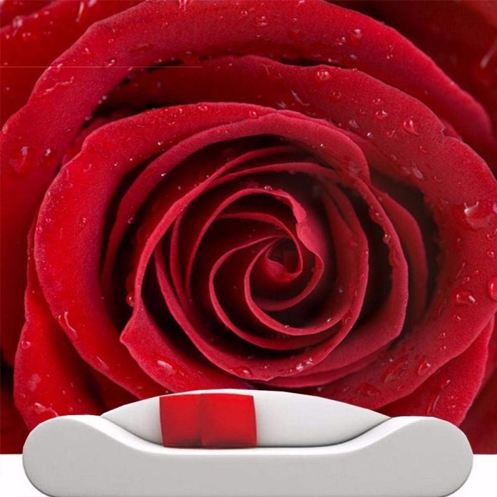 Amazon 壁装3dhd写真ファッション赤いバラの花の壁紙壁画の装飾結婚式の壁紙背景ティッシュ3d壁紙 430cmx300cm 169 3x11 壁紙