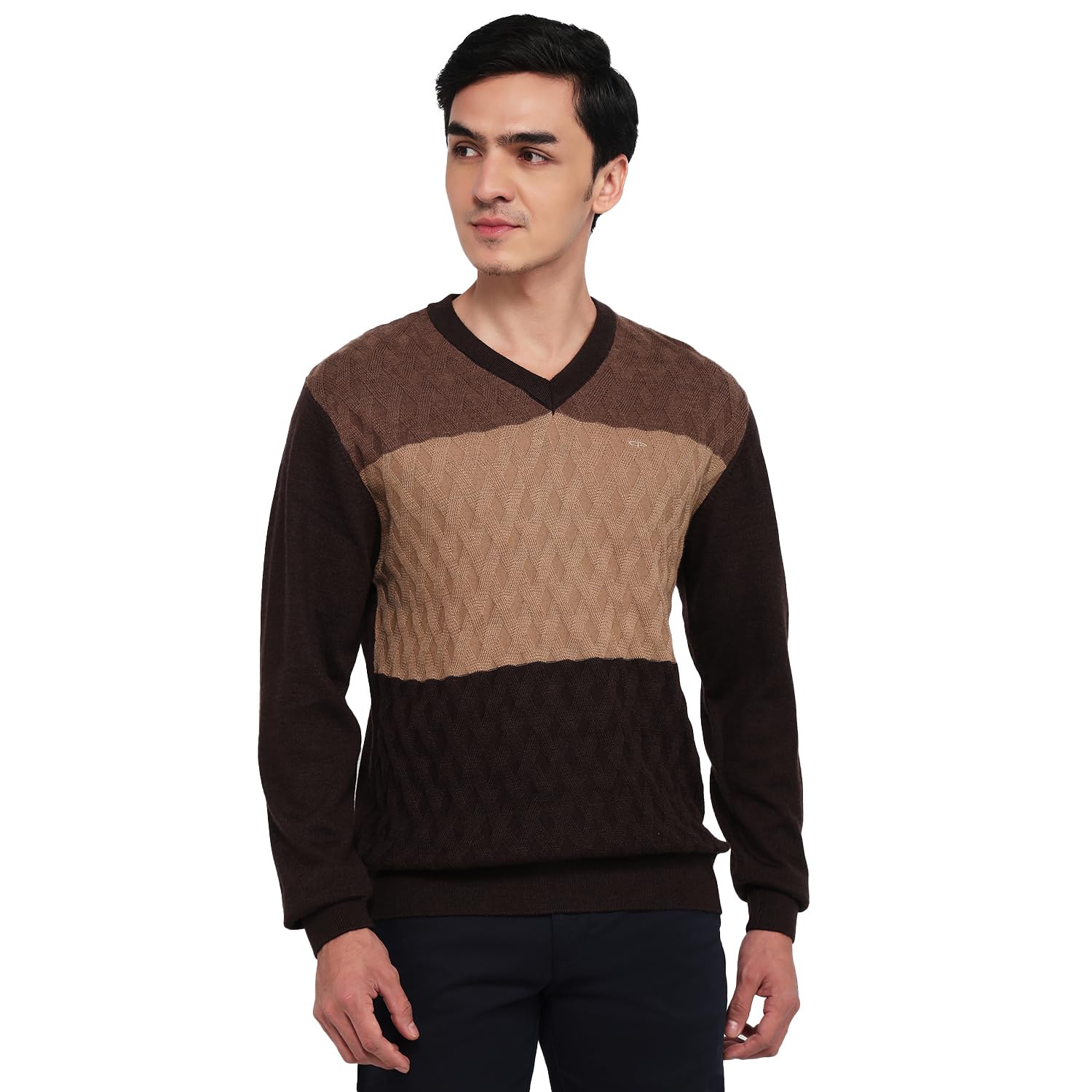 colorplus Men Regular Fit Jacquard Pattern Merino Wool Acrylic Blend Full Sleeve V Neck Casual Sweater Dark Brown-picture-38