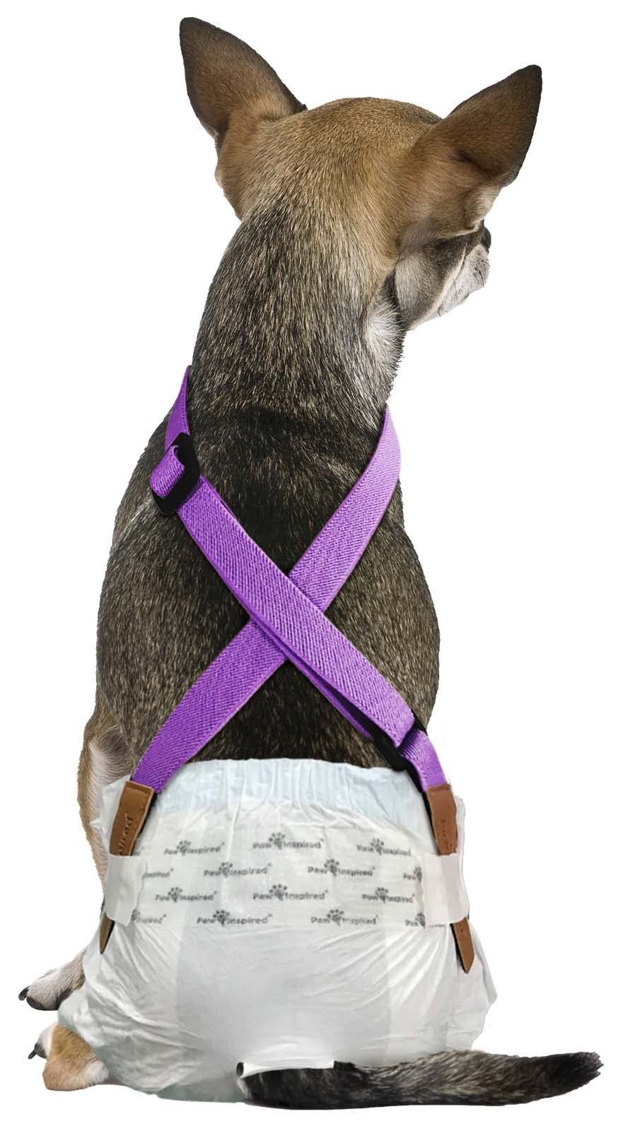 PAW Inspired Dog Diaper Suspenders, Purple, X-Small/Small