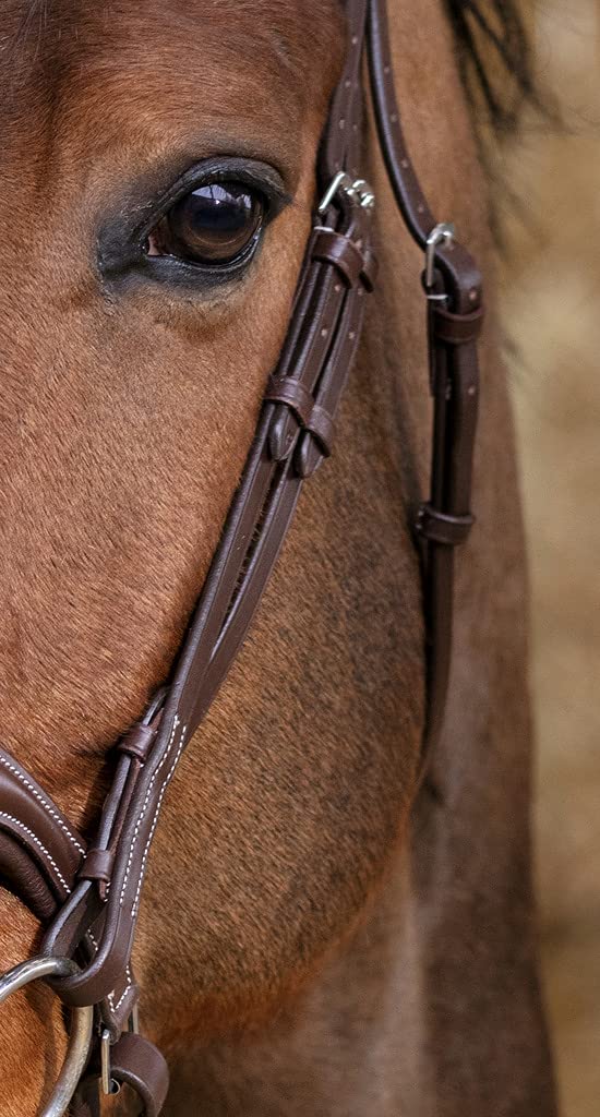 Norton Bridon Pro Miss - Couleurs - Havane, Taille Equipement Cheval - Cheval