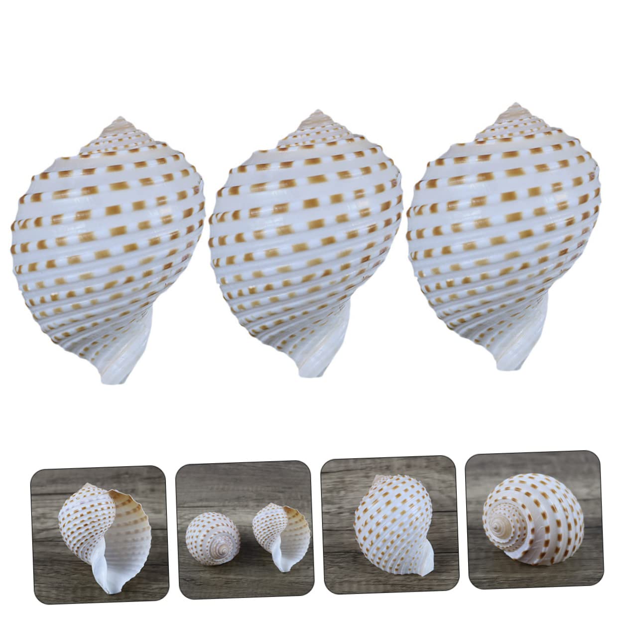 BESPORTBLE 2 Set Decorative Naturali per Decorazioni Nautiche Decor Craft E Accessori per per Creazioni da Te E Centrotavola 3 Pezzi * 2