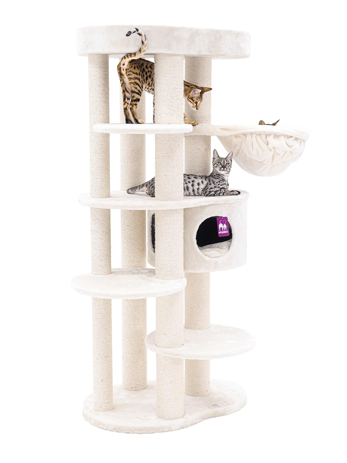 orthopdische hundekissen Orthopdisches Hundekissen - Adventure