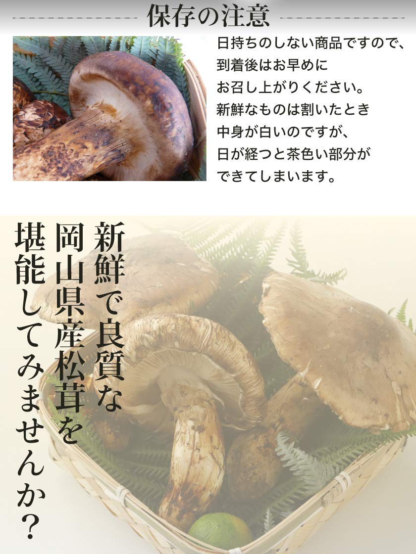 Amazon | 国産 松茸 ひらき 小さめ 約230g 2~8本程度 まつたけ 