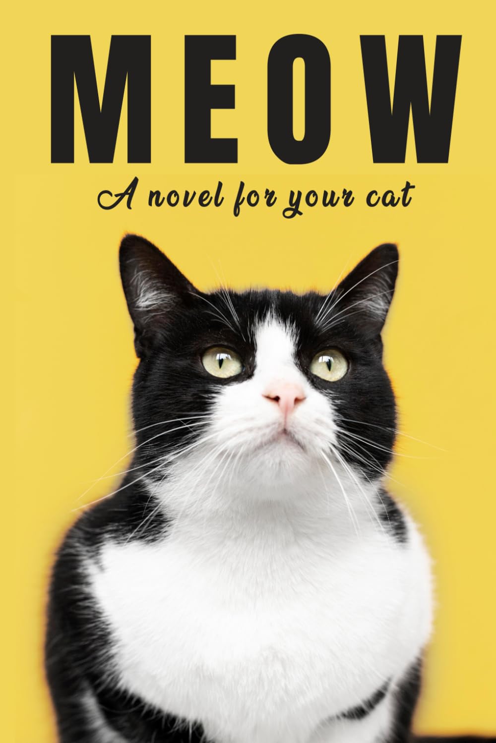 Meow Book: A Novel for Cats