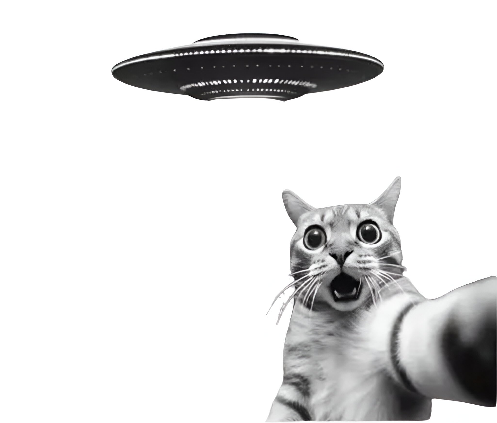 MAKTEM Surprised Funny Cat with UFO Vinyl Decal, Funny 3D Cat Car Graphic for Window, Bumper, Body Panels, Cool Cat Decals for Men, Women, Kids, Alien Sci-Fi Car Accessory