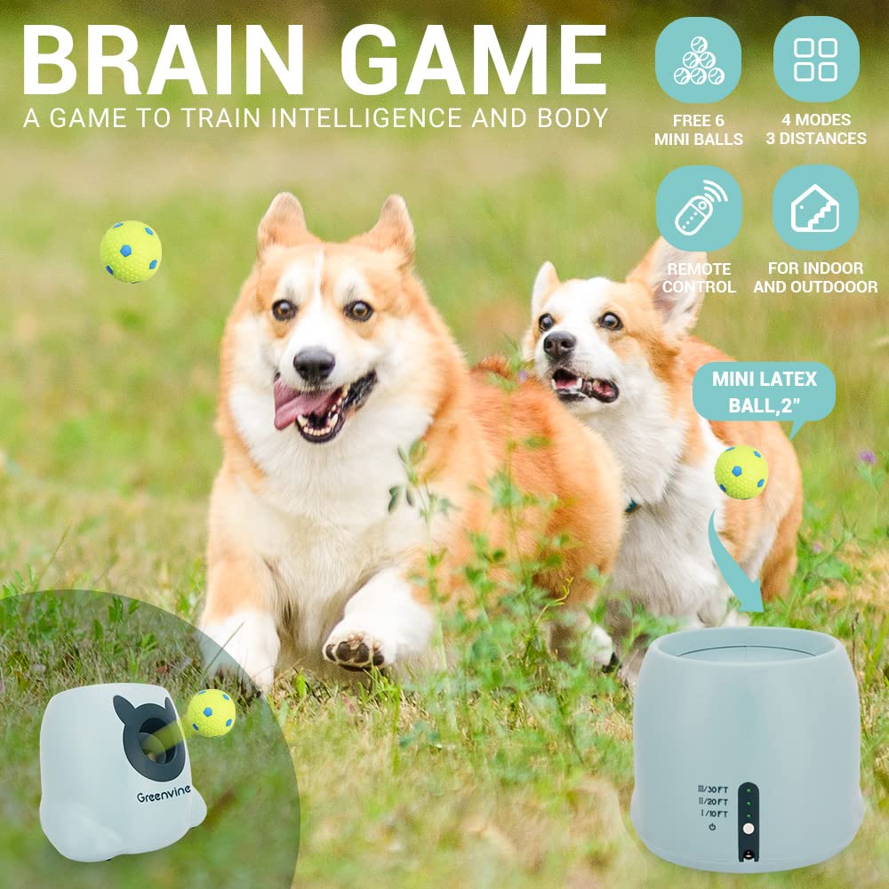 Lanceur de balles interactif Automatique pour Chien avec 6 balles en Latex durables à Haute élasticité incluses
