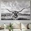Longhorn in Black and White