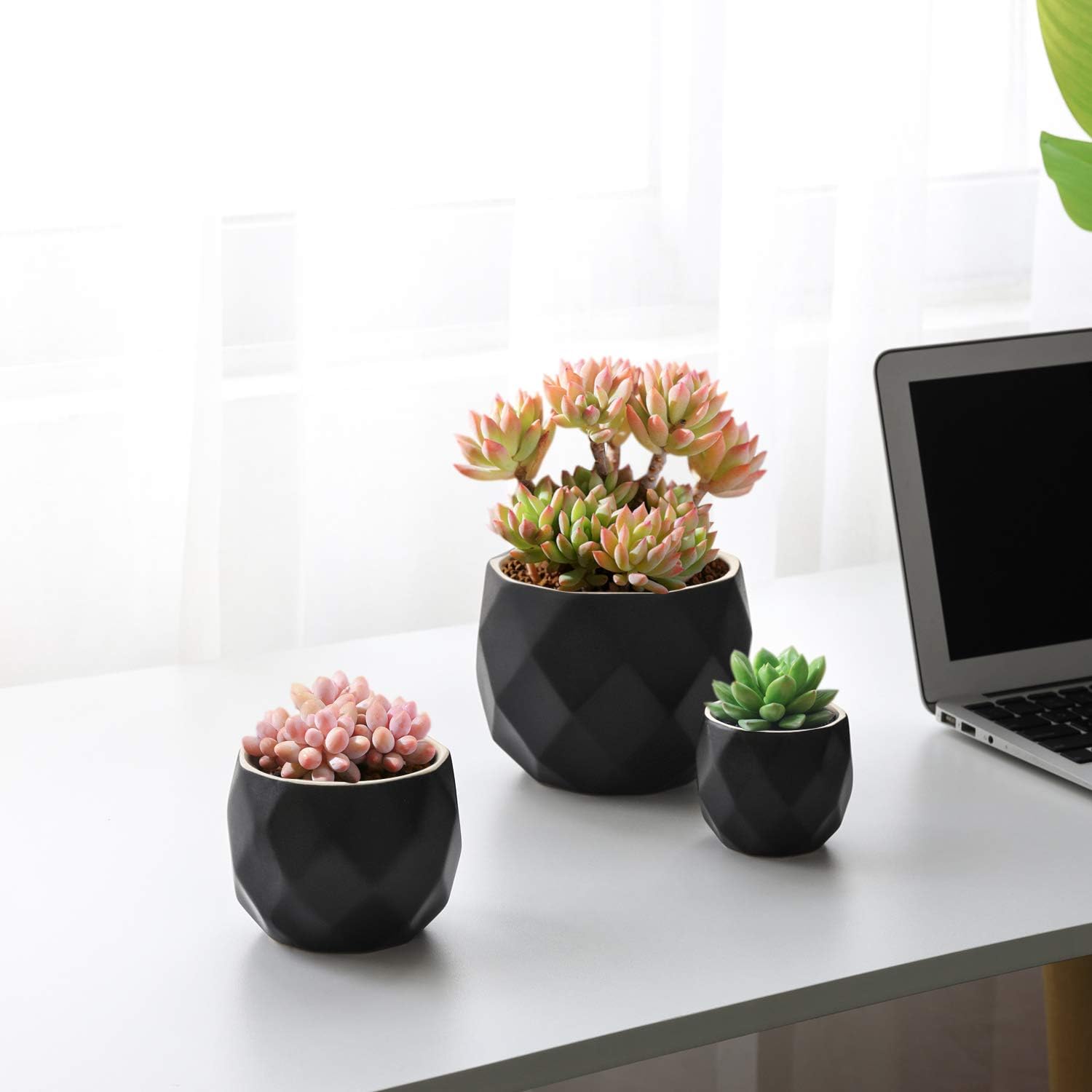 T4U Succulent Planter Pot with Drainage - Black Ceramic Geometric Pots Pack of 3 Different Sizes Pots for Herbs Cactus Plants Flowers - Modern Matte Pots for Home Office Decoration Garden Gift