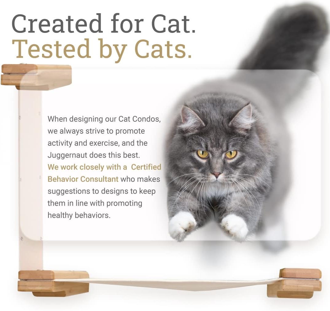 review CatastrophiCreations Juggernaut Modern Cat Condo for Large and Small Cats, with Bridgewall, Hammocks, Scratching Poles, and Planters