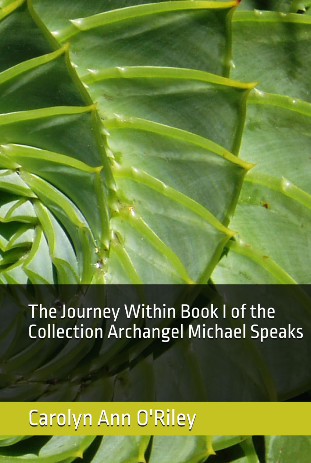 The Journey Within Book I of the Collection Archangel Michael Speaks