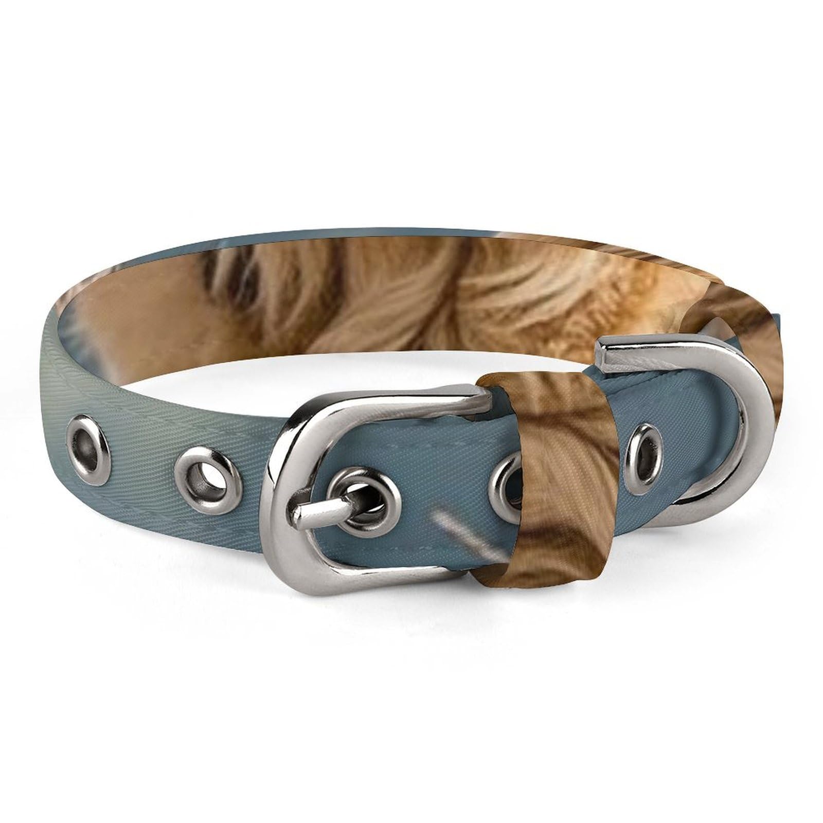 Collier personnalisé pour chien Golden Retriever anti-perte réglable petits chats