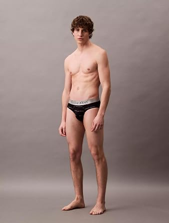Calvin Klein Men's Brushed Microfiber Stretch Hip Briefs