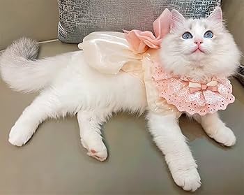 Amazon | WEILFYONK 猫犬首輪猫唾液タオル首輪猫服犬服手作り