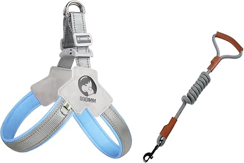 Arnés sin tirones para perro, arnés para perro con correa ajustable, reflectante, de fácil control, para perro pequeño y mediano con correa de cuero