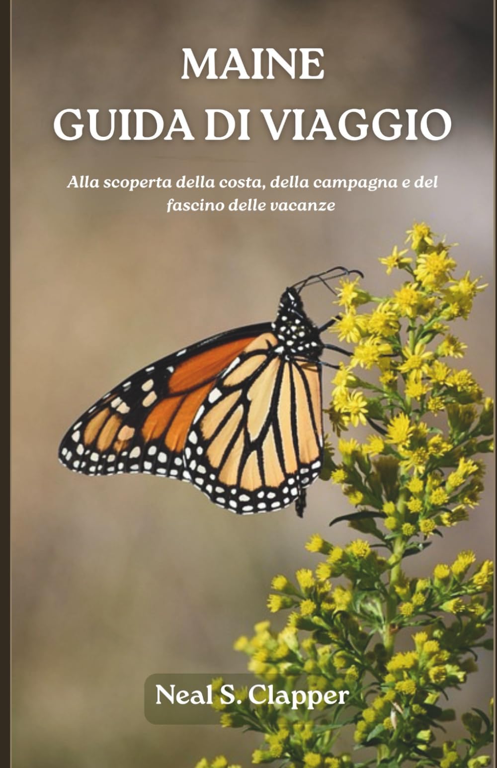 MAINE GUIDA DI VIAGGIO: Alla scoperta della costa, della campagna e del fascino delle vacanze