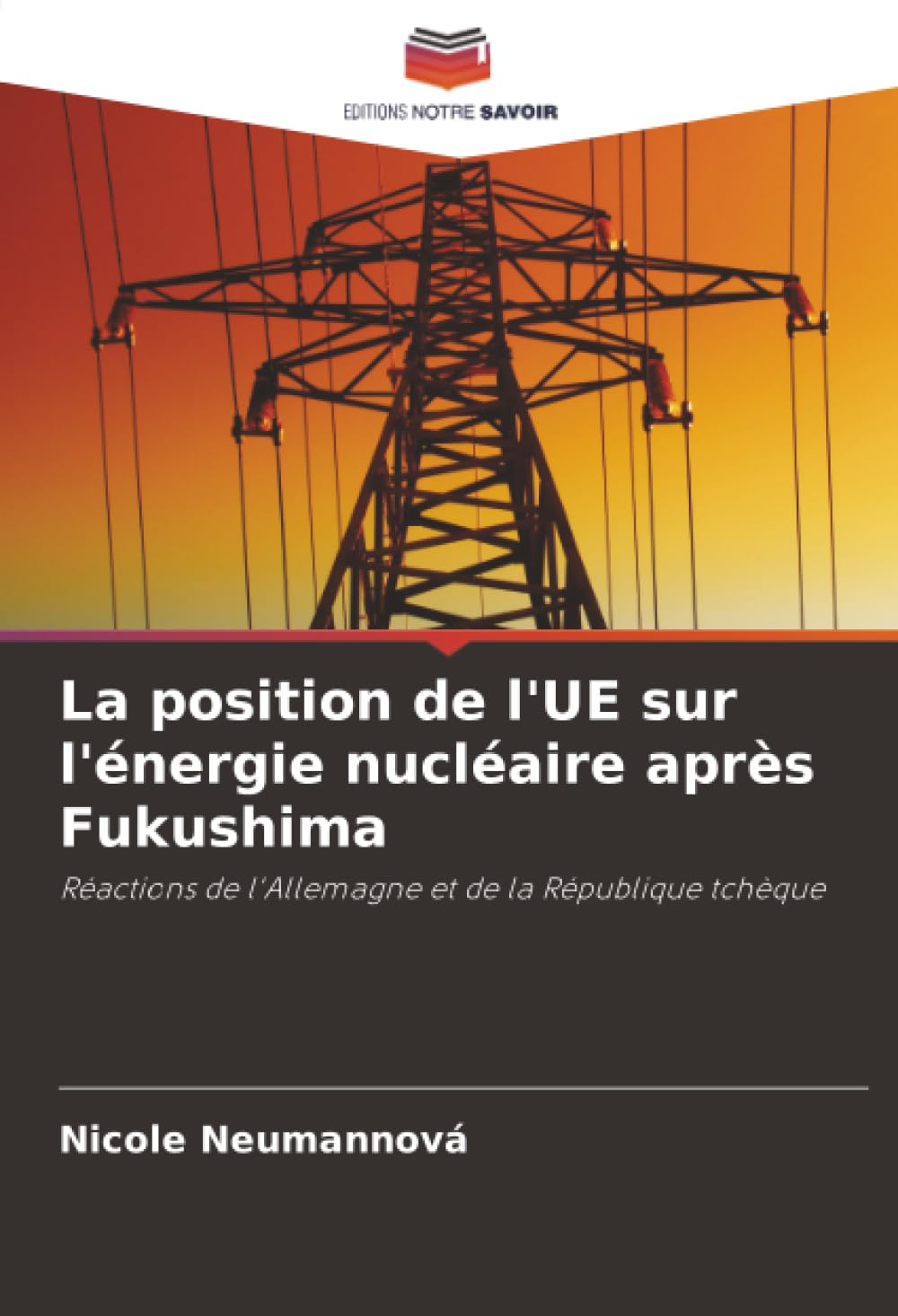 La position de l'UE sur l'énergie nucléaire après Fukushima: Réactions de l'Allemagne et de la République tchèque
