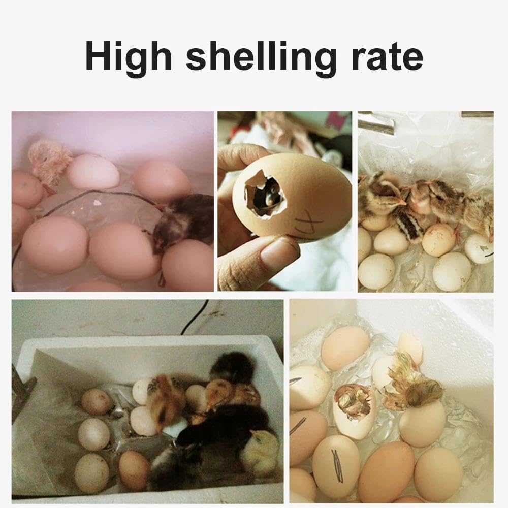 20 Oeufs Couveuse Oeuf Automatique pour Poules, Incubateur Oeuf, Contrôle de la température, Affichage de l'humidité, adapté aux œufs de poule, œufs de caille, œufs de canard