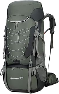 PHOENIX IKKI 75L 2気室 大容量 収納力抜群 豊富なポケット 人体工学 通気性良 撥水加工 旅行 防災 登山ザック リュックサック バックパック レインカバー付き