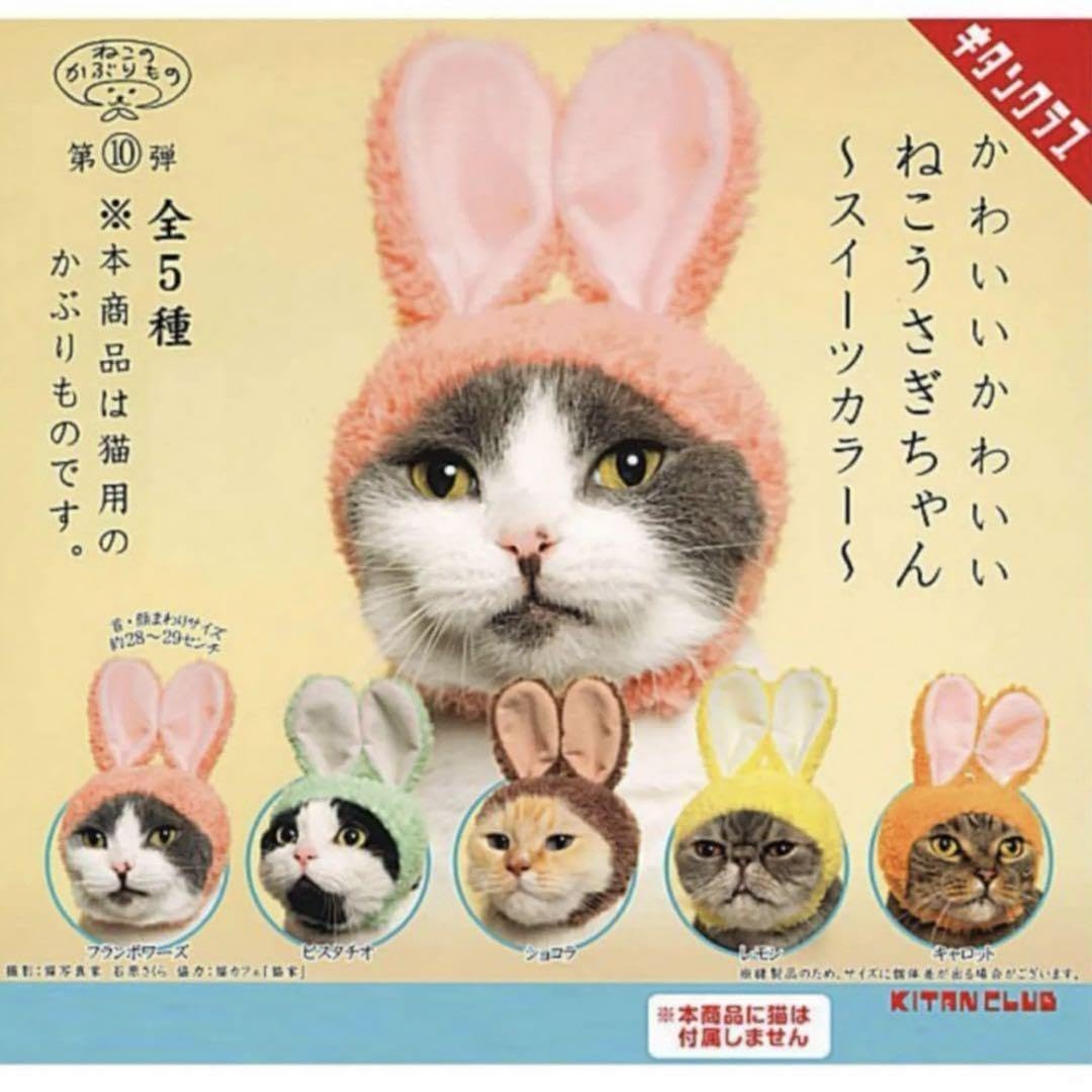 Amazon.co.jp: ねこのかぶりもの ねこうさぎちゃん 猫 うさ耳 ガチャ