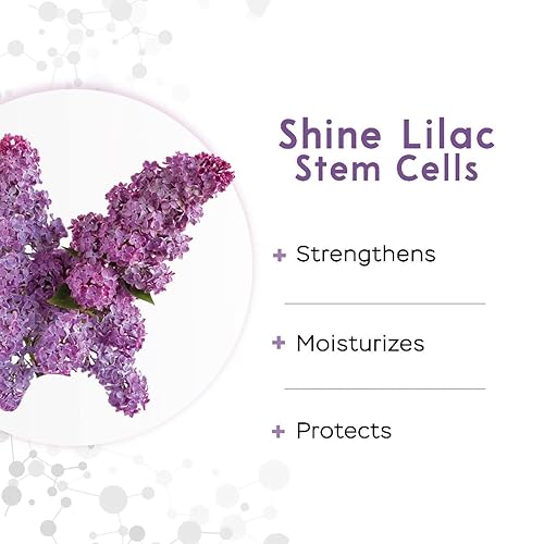 Miniatura 3 de VITASEI BeautyBoost - Suero para cabello fuerte, brillante y sedoso WLilac Stem Cells, hidratante para mujeres y hombres, suero de brillo para