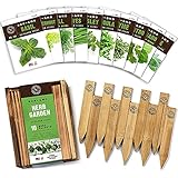 Herb Garden Seeds for Planting - 10 Culinary Herb Seed Packets Kit, Non GMO Heirloom Seeds, Plant Ma