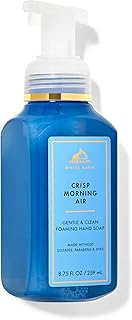 Bath & Body Works Crisp Morning Air Gentle & Clean Foaming Hand Soap