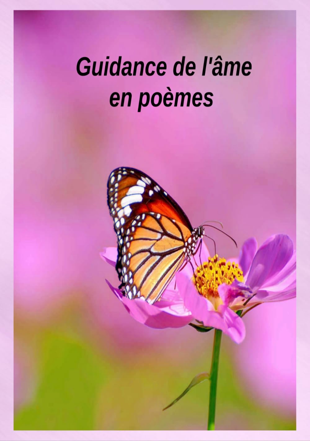 Guidance de l'âme en poèmes