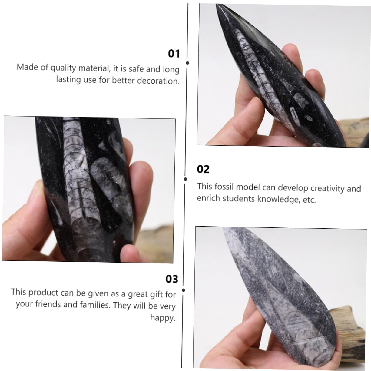 Toddmomy Modelo de Fósil Paleontológico Mineral Negro para Enseñanza y Colección, Enriquecimiento Educativo y Desarrollo Creativo para Niños en Su Día