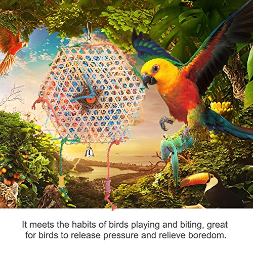 Parrot Chew Toy - Image 3