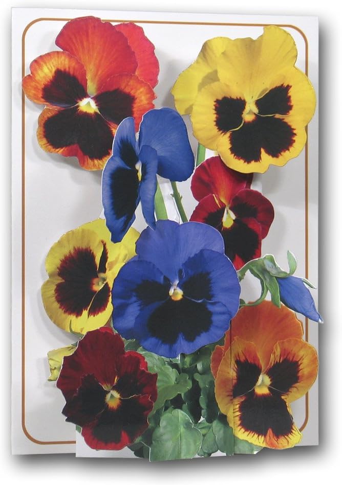 Pansies - a 3D Pop Up Greeting Card - from