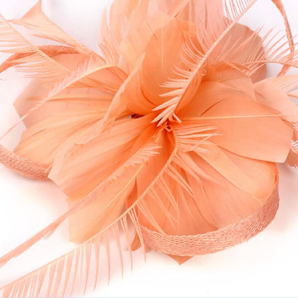 Luxshiny 1pièce Pince à Cheveux Élégante Avec Plumes Pour Femmes Accessoire Chic Pour Mariage Soirée Prom Anniversaire Et Réceptions