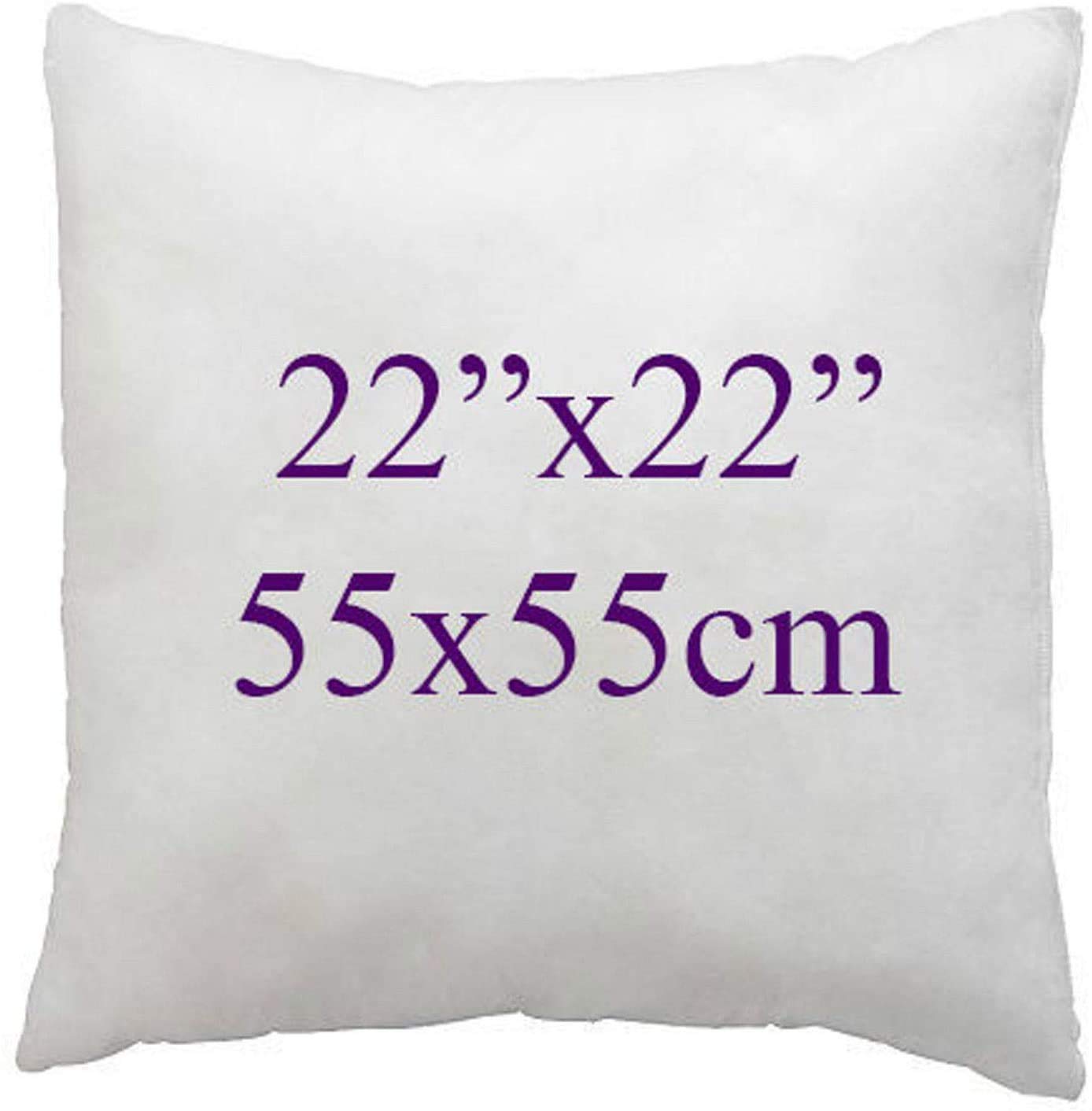 Arlinens White Super Soft Duck Feather Cushion Pads Inners, Inserts, Fillers, 100% Cotton Down Proof Cover, Hypoallergenic, (22"X22")