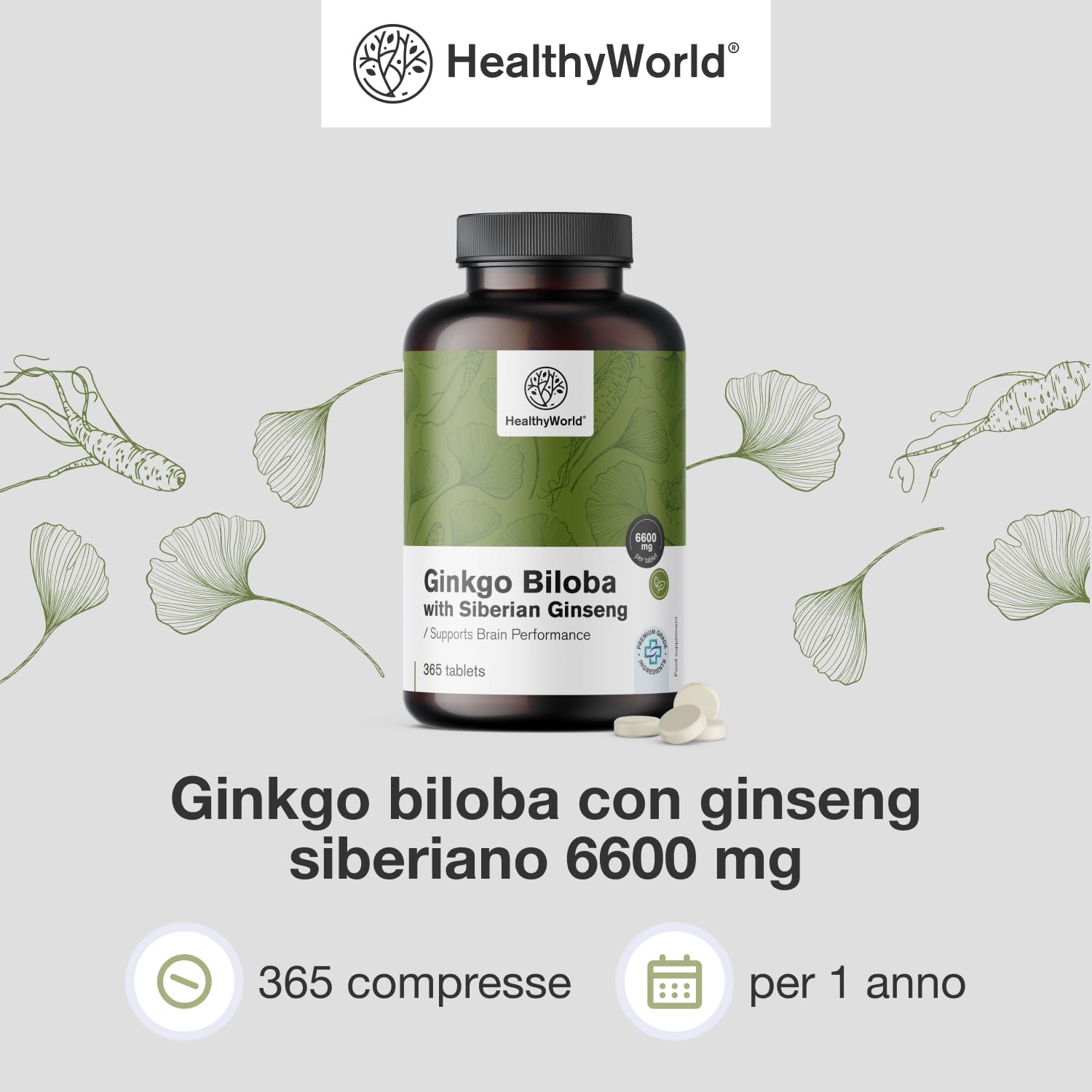 HealthyWorld® Ginkgo Biloba con Ginseng siberiano 6600 mg - Dose elevata, qualità premium - Per funzioni cognitive - 365 compresse per 1 anno di scorta - Estratto di ginkgo 50:1 (120mg) e 10:1 (60mg)
