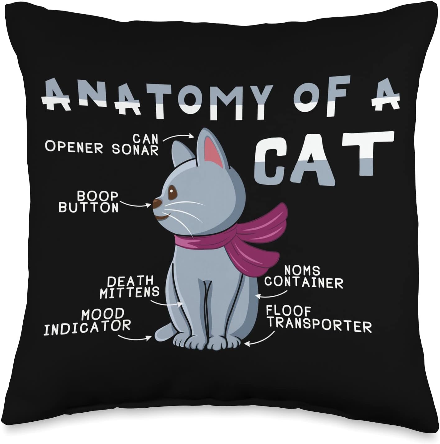 Definition Anatomy Of Animal Kitten Cat Meow Meow Cute Pet