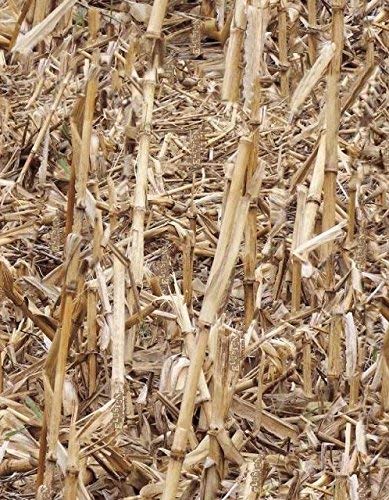 Bamboo Cornstalk Corn Field Brush Duck Blind Camo Camouflage Hydrographic Water Transfer Film Hydro Dipping Dip Demon Wizard Ape