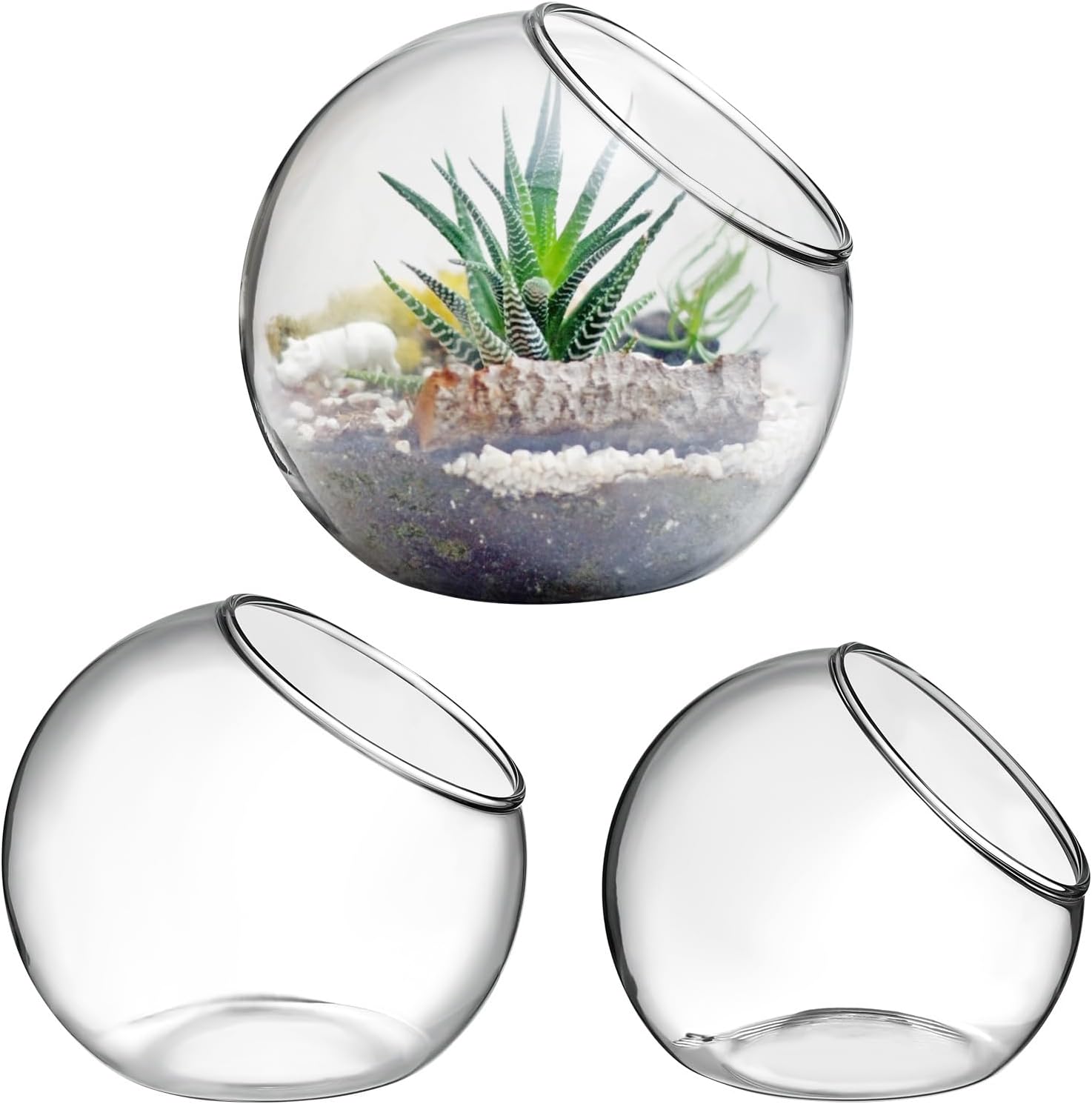 Amazon.com: IMIKEYA Plant Terrarium Display: 3 Pcs Glass Terrarium ...