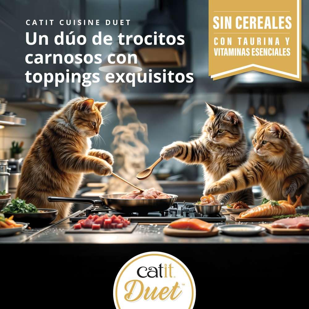 Catit Cuisine Duet Surtido