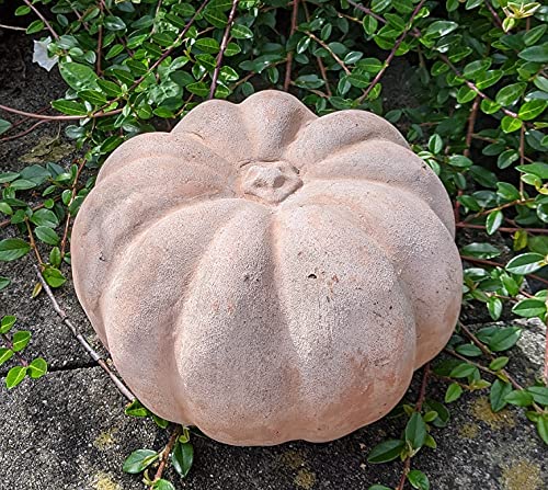 B-Ware ! Kürbis ø 22 cm hoch aus Terracotta Terrakotta Deko Herbst...