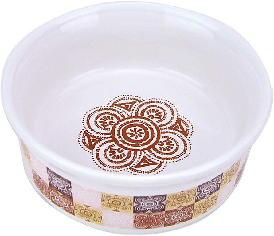 amazon ceramic dog bowls