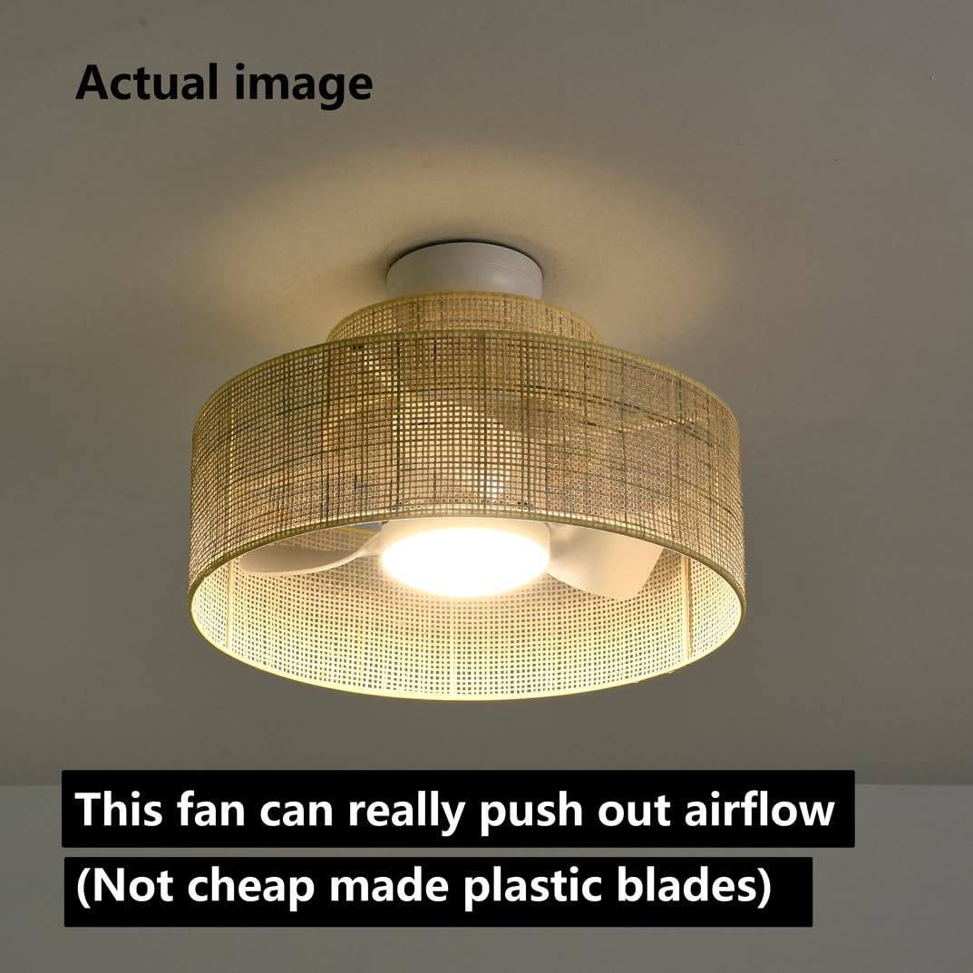 https://m.media-amazon.com/images/I/61cZ5BJMckL.jpg