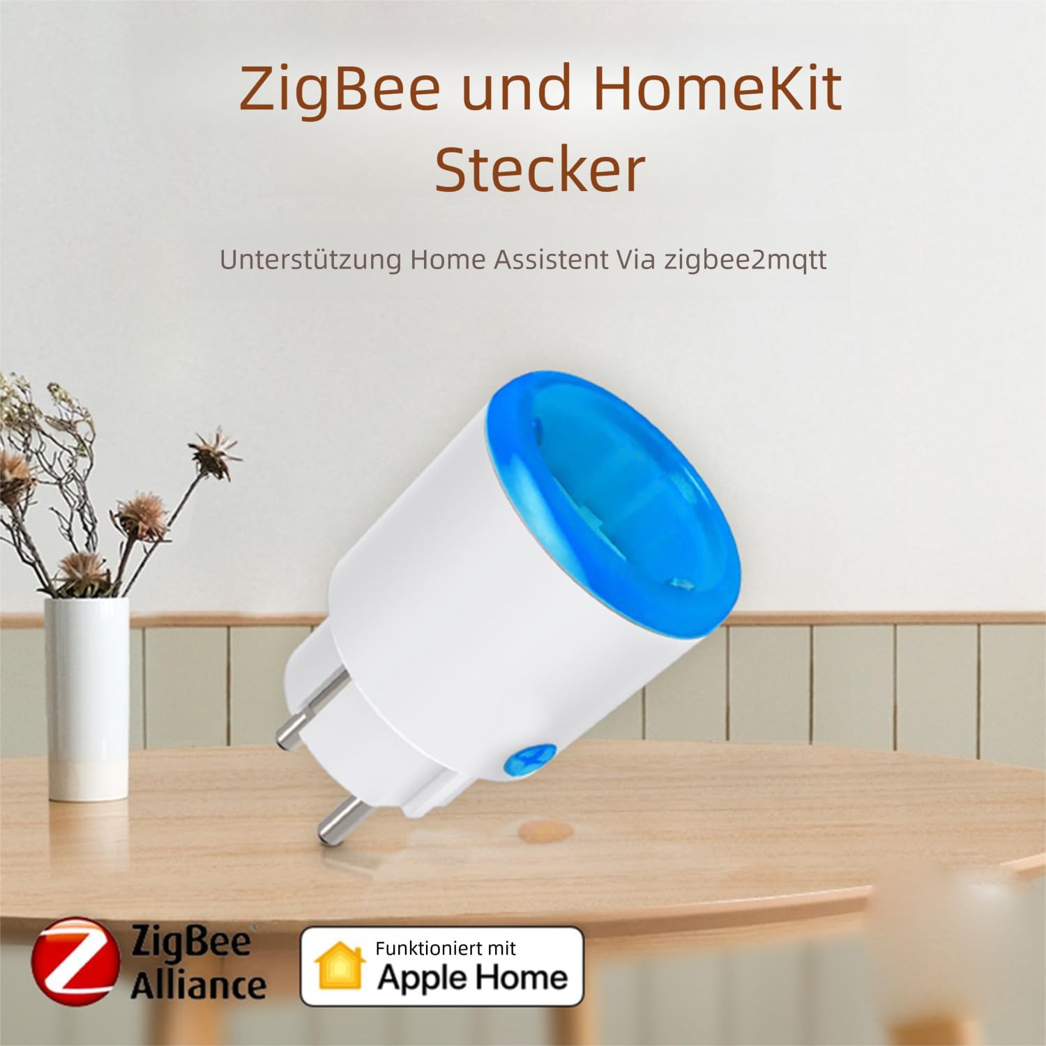 Haozee Zigbee Smart Socket con timer e monitoraggio del consumo energetico, richiede un hub Zigbee, supporta l'assistente domestico Zigbee2mqtt